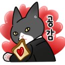 캐슬원디테일링