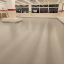 핫도그 애견 이미지