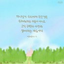 다 채움 이미지