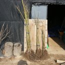 계선농장 이미지