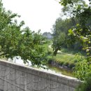 서호당구장 이미지