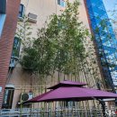 루트(ROUTE)422 이미지