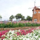 곡성-225 이미지