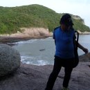 진도하루 이미지