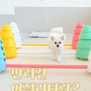 도근도근 이미지