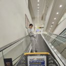 나무와새 | 커플 캠핑 포천 나무새캠핑 후기