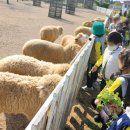 동물치유쉼터 이미지