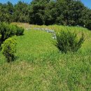 곡성-141 이미지