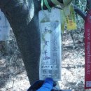 청광새들녘마을 이미지