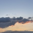 대중사 | 20대 여자 내돈내산 결정사 가입후기 (1탄)