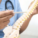 서초성모정형외과의원 이미지