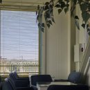 중로(보)2-2-6 | 일산 애견동반 브런치 맛집 카페 가위바위보 솔직 후기 (바질명란크림리조또 강추)