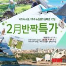 온누리항공투어