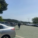 영광애꽃 | 💗 백양산 애진봉 철쭉 군락지 가야 냉수탕가든 오리고기 사상 오르디