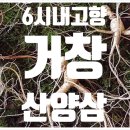 이현임업