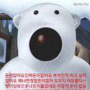 톤앤미퍼스널컬러