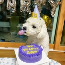 오복이네밥상 이미지