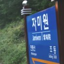 자미원