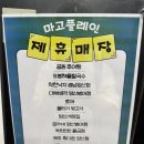 무진어린이공원 | 양산 대형카페 마고플레인 아이와 브런치 풍선 체험까지 즐기는 물금 맛집