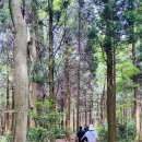 드림힐 요양병원 이미지