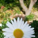 임천보건소 이미지