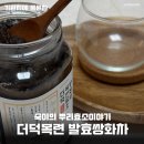 숙이의뿌리효소이야기 | 기관지에 좋은 수제쌍화차 숙이의 뿌리효소이야기 더덕목련발효쌍화차 더덕쌍화차