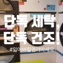 선릉세탁