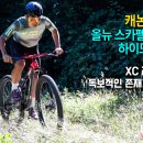남대구종합정비 이미지