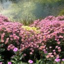 밭두렁농원 이미지