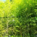 지평선모텔 이미지