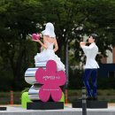 웨딩거리 교통섬 이미지