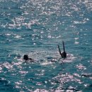 라밤바서울 | Week 12, 2026 • 버터런 후기 🧈 99brims 파티 🎉