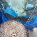 거제횟집 이미지