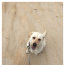 태화 목장 이미지