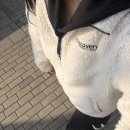 햇빛세탁소 이미지