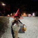 솔내음캠핑장 이미지