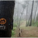 산들바농장 이미지