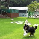 미도세탁 이미지