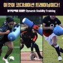 대운로 | 트레이닝 / 코어운동의 중요성, 과연 플랭크가 정답일까? [양산 헬스장][서창동 헬스장][서창 pt][덕계 pt]