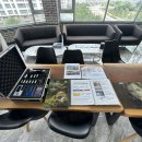 진전면100 이미지