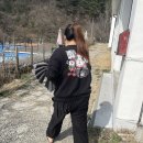 로로포레 이미지