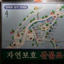 근대로의여행 골목투어1코스 이미지