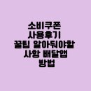 위메프오_카카오페이 | 소비쿠폰 사용후기 꿀팁 알아둬야할 사항 배달앱 방법