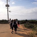 월령리(월령포구) 이미지