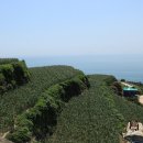 가천다랭이마을 이미지