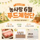 농업회사법인주식회사고향장터 | [6월 농사랑 푸드체험단] 캠핑에 어울리는 상품 3종 체험 모집🏕️