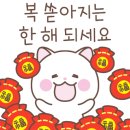 애견호텔중독