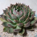 수경빨래방 이미지