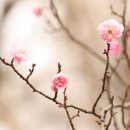 시(詩)와 견해 차이 이미지