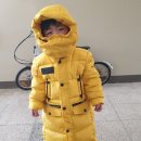 오복광택 이미지